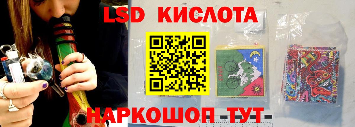 Галлюциногенные грибы Новороссийск