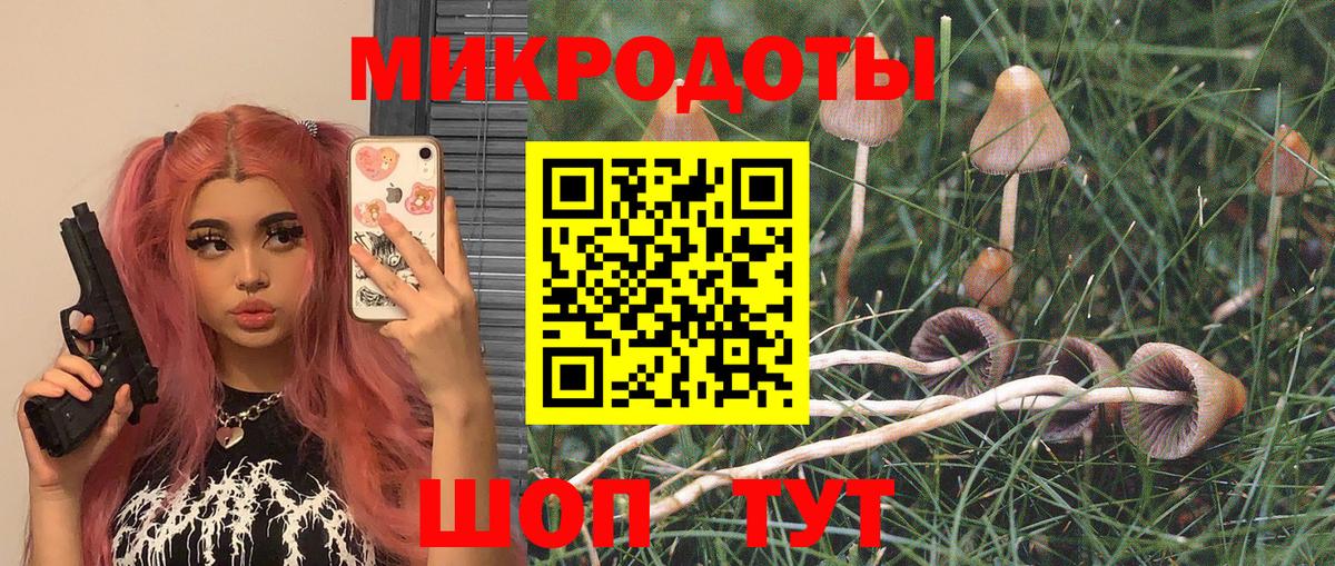 Псилоцибиновые грибы Magic Shrooms  Вход с VPN  Псилоцибиновые грибы прущие грибы  Новороссийск 