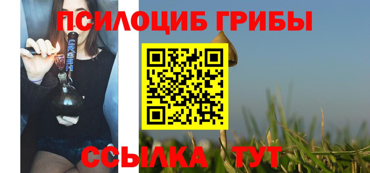 Галлюциногенные грибы Psilocybe Новороссийск