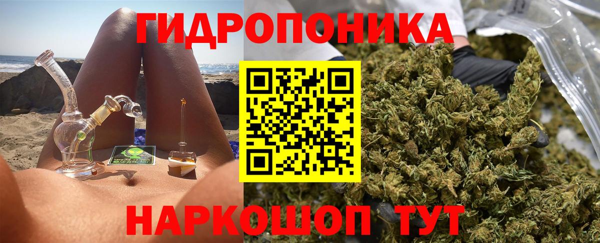 Бошки Шишки гибрид Новороссийск